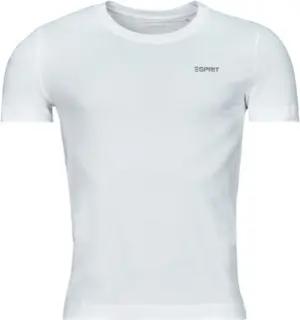 Esprit T-Shirt SUS F AW CN SS
