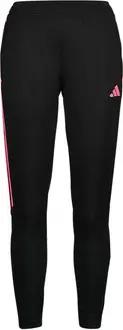 adidas  Trainingsanzüge TIRO23 CBTRPNTW