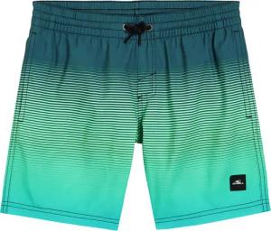 O'Neill - Cali Gradient 14' Badehose Kinder beetle juice simple gradient