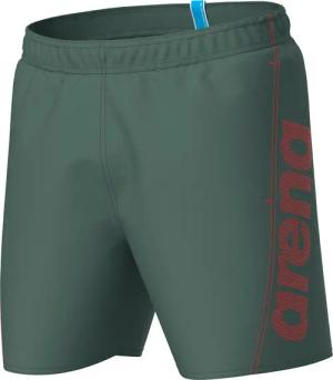 Arena Logo Badehose Herren