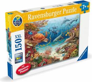 Ravensburger Puzzle 150 Teile Kinder Puzzle XXL WWW? Meerestiere am Korallenriff 13411, 150 Puzzleteile