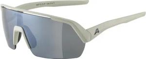 Alpina Turbo HR Sportbrille (321 cool grey matt, Scheibe: black mirror (S3))