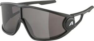 Alpina - Legend Sonnenbrille mattschwarz