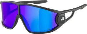 Alpina - Legend Q-Lite Sonnenbrille black matt