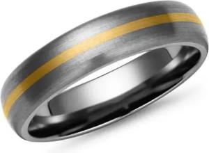 Matter Titan Ring mit 585 Gold Einlage