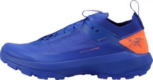 Arcteryx Herren Vertex Alpine GTX Schuhe