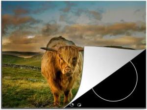 MuchoWow Herdblende-/Abdeckplatte Schottisches Hochlandrind - Gras - Berg - Kuh - Tier, Vinyl, (1 tlg), Induktionsschutz - Herdabdeckung Matte von Vinyl, das perfekte, rollbare Material für jedes Kochfeld - vergrößert die Arbeitsfläche - Küchen Dekoration
