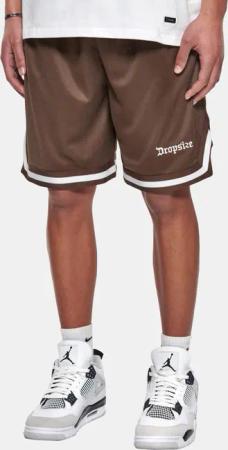 Dropsize Logo Mesh Short
