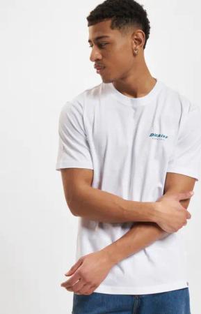 Dickies Clackamas Box T-Shirt