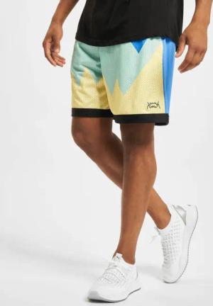 Puma Scholarship Short