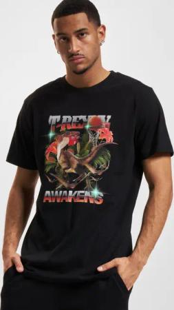 Mister Tee T Awakenes