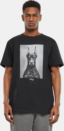 Mister Tee Dawg