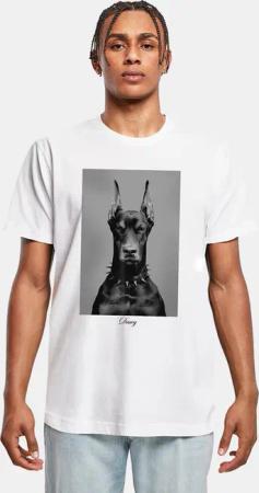 Mister Tee Dawg