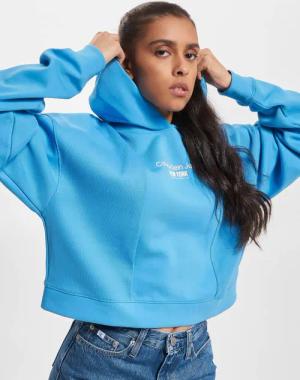 Calvin Klein Jeans Rib Insert Interlock Hoodie