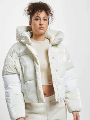Calvin Klein Jeans Blocking Cropped Puffer Winterjacke