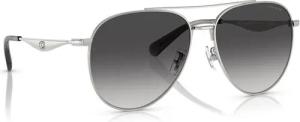 Coach Sonnenbrillen 0HC7169 90013C57 Silberfarben