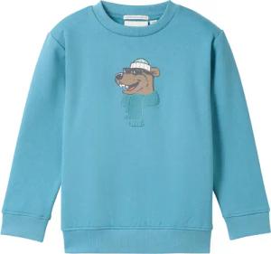 TOM TAILOR Jungen Sweatshirt mit Bio-Baumwolle, blau, Print, Gr. 104/110