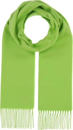 Schal mit Cashmere-Feeling - hellgrün - Gr. Einheitsgröße von Goldner Fashion