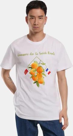 Mister Tee Orangerie