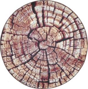 Gino Falcone Teppich "Aurora GF-095", rund, 5 mm Höhe, Holz Optik, ideal im Wohnzimmer & Schlafzimmer