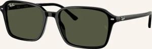 Ray-Ban Sonnenbrille RB2231 RAIMOND