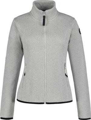 Icepeak Fleecejacke ICEPEAK AULTI DAMPF