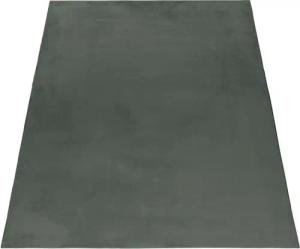 Stilvoll Günstig Hochflor-Teppich Teppich für den Flur oder Küche Unicolor - Einfarbig, Läufer, Höhe: 20 mm