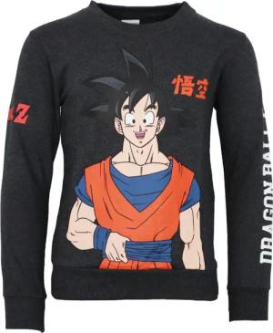 Dragon Ball Sweater Dragon Ball Super Goku Jungen Pullover Pulli Gr. 110 bis 140