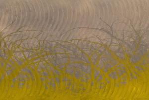 Architects Paper Fototapete "Atelier 47 Thorn hedge 3", Farbverlauf, Vlies, Wand, Schräge, Decke