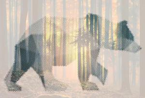 Architects Paper Fototapete "Atelier 47 Bear Forest 1", Wald, Vlies, Wand, Schräge, Decke