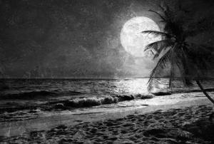 Architects Paper Fototapete "Atelier 47 Beach at Night 3", Strand-Meer, Vlies, Wand, Schräge, Decke