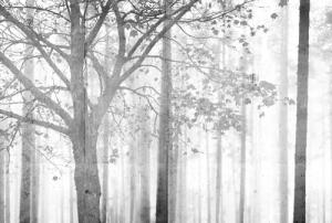Architects Paper Fototapete "Atelier 47 Edge 2", Wald, Wald Fototapete Edge 4,00 m x 2,70 m 200 g Vlies Premium Tapete Natur