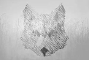 Architects Paper Fototapete "Atelier 47 Fox Graphic 2", abstrakt, Vlies, Wand, Schräge, Decke