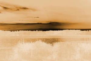 Architects Paper Fototapete "Atelier 47 Landscape Artwork 1", Wald, Vlies, Wand, Schräge, Decke