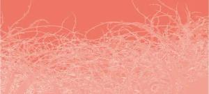 Architects Paper Fototapete "Atelier 47 Thorn Style 1", floral, Vlies, Wand, Schräge, Decke