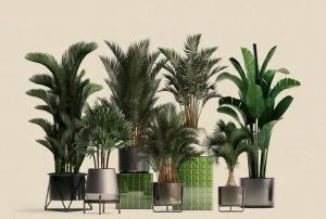 living walls Fototapete "Walls by Patel Plant Shop", Vlies, Wand