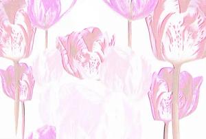 Architects Paper Fototapete "Atelier 47 Tulip Artwork 1", floral, Vlies, Wand, Schräge, Decke