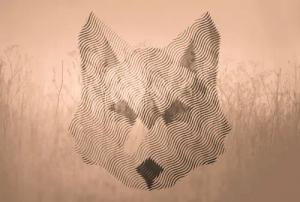 Architects Paper Fototapete "Atelier 47 Fox Graphic 2", abstrakt, Vlies, Wand, Schräge, Decke