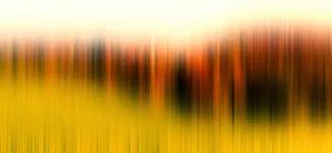 Architects Paper Fototapete "Atelier 47 Diffused Tree Row 2", abstrakt, Vlies, Wand, Schräge, Decke