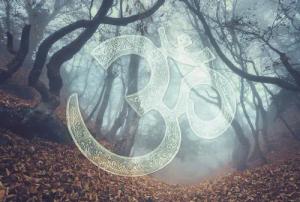 Architects Paper Fototapete "Atelier 47 Symbol Forest 1", Wald, Vlies, Wand, Schräge, Decke