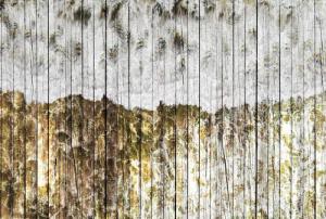 Architects Paper Fototapete "Atelier 47 Beachboard 1", Holz, Vlies, Wand, Schräge, Decke