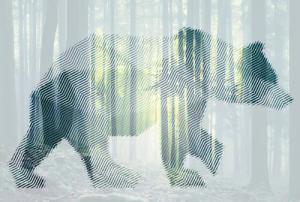 Architects Paper Fototapete "Atelier 47 Bear Forest 1", Wald, Vlies, Wand, Schräge, Decke