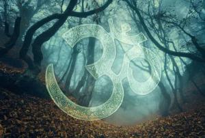 Architects Paper Fototapete "Atelier 47 Symbol Forest 1", Wald, Vlies, Wand, Schräge, Decke