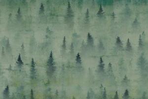 Architects Paper Fototapete "Atelier 47 Coniferous Artwork 1", Wald, Vlies, Wand, Schräge, Decke