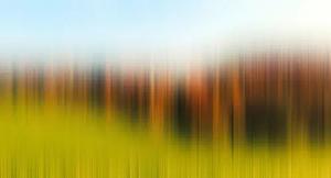 Architects Paper Fototapete "Atelier 47 Diffused Tree Row 2", abstrakt, Vlies, Wand, Schräge, Decke