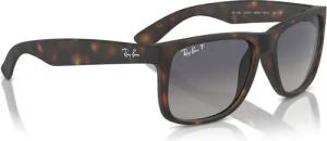 Ray-Ban Sonnenbrillen 0RB4165 865/8S Braun