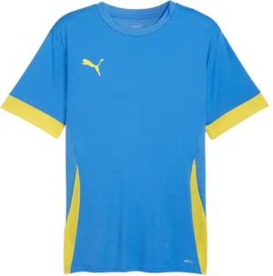 PUMA Fußballtrikot PUMA teamGOAL Matchday Trikot Trikots Herren Teamsport