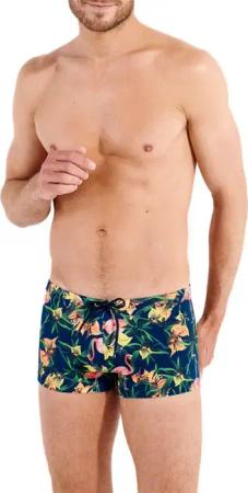 HOM Herren Shorts blau,multicolor Mit Prints