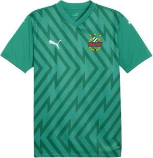PUMA T-Shirt PUMA SK Rapid Torwarttrikot 2024/2025 Polyester