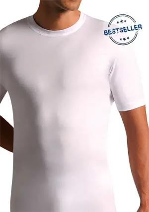 Novila Herren American-Shirt weiß Ägyptische Baumwolle unifarben